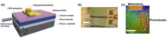 d1647687096212ead2c2af3651ce7854