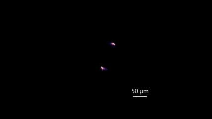 910cd526350e0909b404a26df9f35643